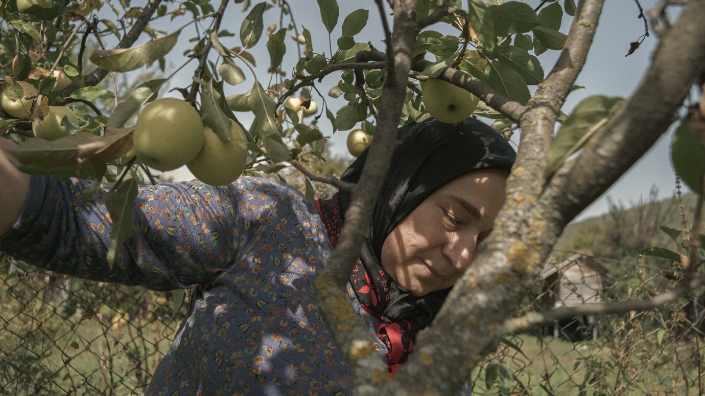 Image issue du film qui contient une femme d'âge moyen avec un foulard noir sur les cheveux, dont on ne voit que le haut du corps. Elle est dans les branches d'un pommier avec des pommes mûres